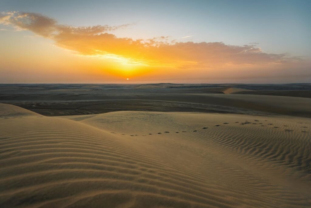 Best Time to Do a Desert Safari in Qatar